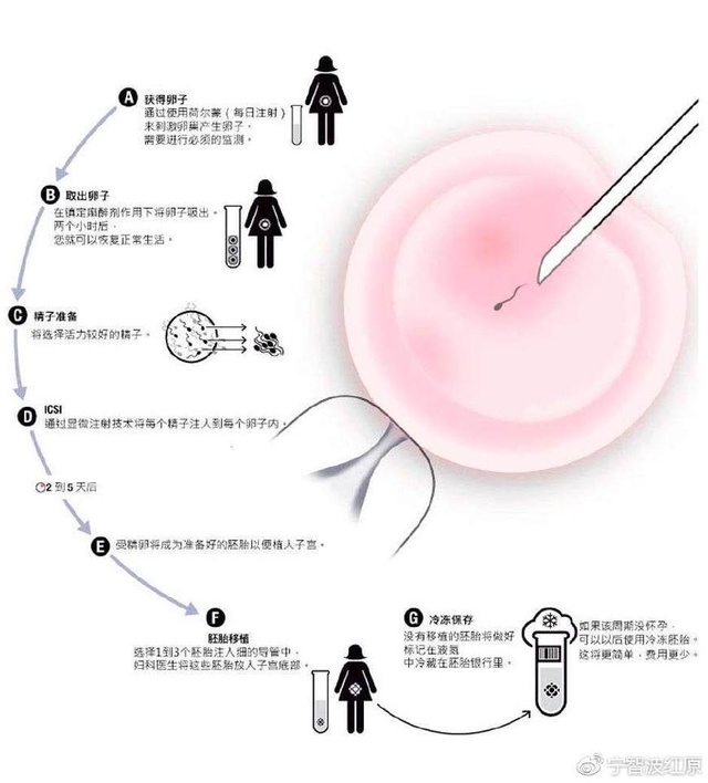 绵阳供卵代怀